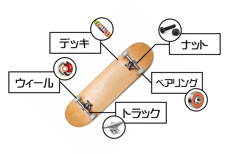 スケートボードの各部ギア解説 Sk8navi スケートナビ
